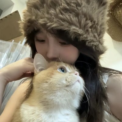 梅与小猫巴士
